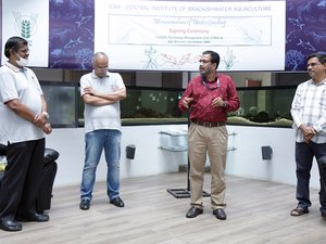 ICAR-CIBA transfers shrimp phage therapy for commercialization