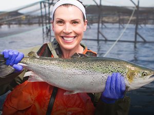 Cooke plans a new salmon hatchery in Canada