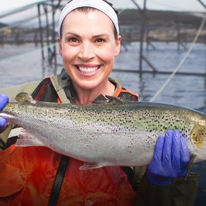 Cooke plans a new salmon hatchery in Canada