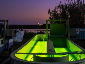 What are the benefits of LED lighting in microalgae grown in raceway ponds?