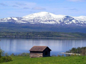 Alpha Aqua to build RAS Arctic char facility