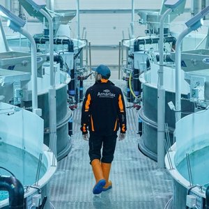 Arnarlax takes over Ísþór smolt facility