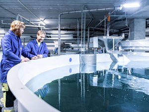 Cutting energy use in a growing RAS industry