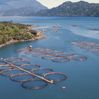 Virbac strengthens its position in Chilean animal health market