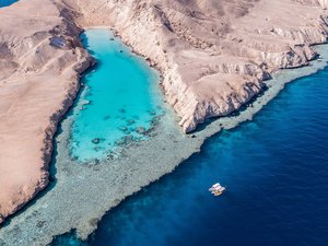 Saudi Arabia aquaculture project to produce 80,000 tons