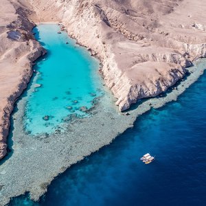 Saudi Arabia aquaculture project to produce 80,000 tons