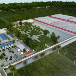 CPF builds shrimp 5.0 farm in the USA