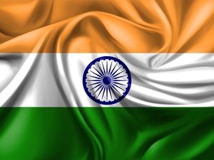 Study finds hazardous levels of metals in fish, shrimp farms in India