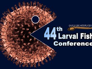 Larval Fish Conference postponed to 2021