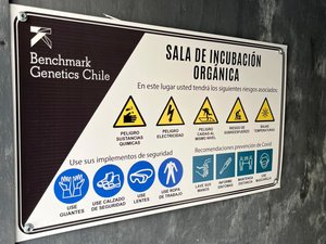 Benchmark Genetics Chile receives organic ova certification