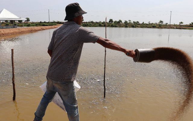 First financial program for Cambodian aquaculture supports the whole value chain