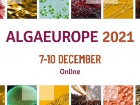 Apply for Young Algaeneers Innovation Award