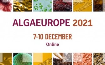 Apply for Young Algaeneers Innovation Award
