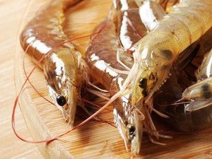 Flo-Gro Systems to build king prawn hatchery in the UK