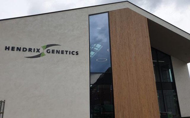 Paine Schwartz completes investment in Hendrix Genetics