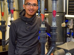 Promising disease research on salmon in RAS facilities