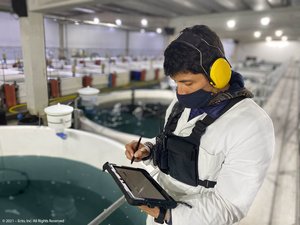 Digital aquaculture innovator raises $7 million from Rabobank and Aqua-Spark