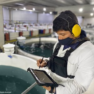 Digital aquaculture innovator raises $7 million from Rabobank and Aqua-Spark