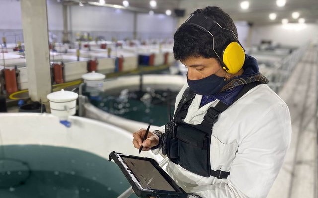 Digital aquaculture innovator raises $7 million from Rabobank and Aqua-Spark