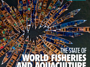 The State of World Fisheries and Aquaculture (SOFIA) - 2020