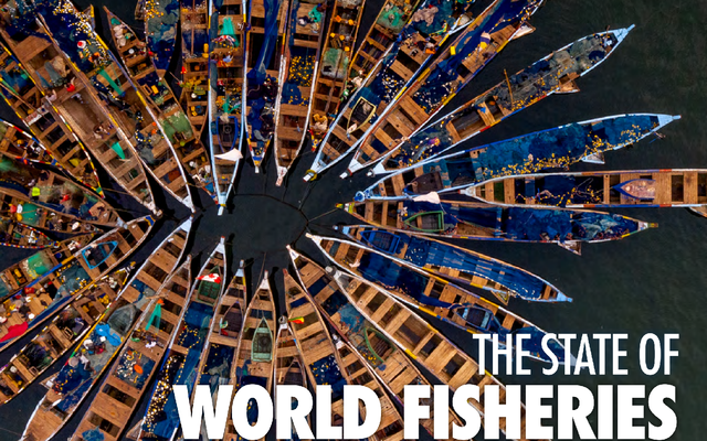 The State of World Fisheries and Aquaculture (SOFIA) - 2020