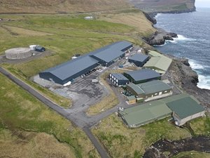 Bakkafrost to start building its second hatchery in Scotland