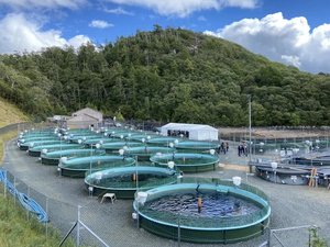 Scottish salmon hatchery gets an organic upgrade