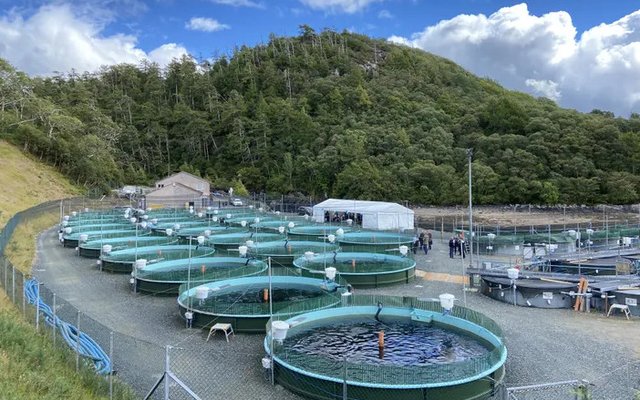 Scottish salmon hatchery gets an organic upgrade