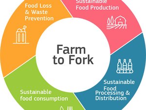 EU Farm to Fork and Biodiversity strategies for sustainable food systems