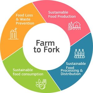 EU Farm to Fork and Biodiversity strategies for sustainable food systems