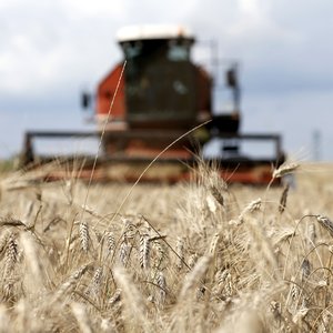 Global agricultural production projected to increase by 1.1% per year over the next decade