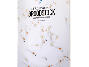 SPF L. vannamei Broodstock report
