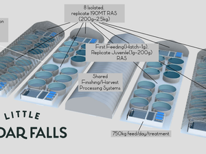 BC Aquafarms advances in developing its first RAS farm