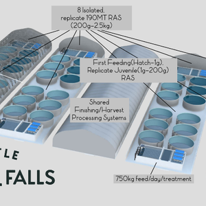 BC Aquafarms advances in developing its first RAS farm