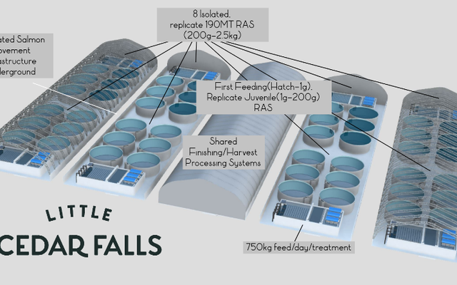 BC Aquafarms advances in developing its first RAS farm