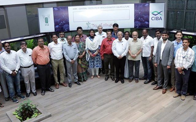 India to develop an insurance policy for shrimp farmers