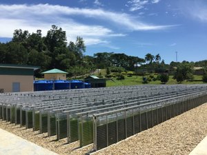 Malaysia builds one of the largest tropical microalgal facilities