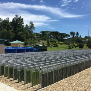 Malaysia builds one of the largest tropical microalgal facilities