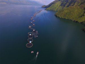 World's first ASC-certified fish farm celebrates 10th anniversary