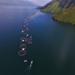 World's first ASC-certified fish farm celebrates 10th anniversary