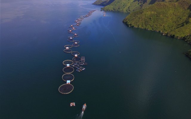 World's first ASC-certified fish farm celebrates 10th anniversary