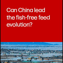 Join F3 webinar on emerging trends in fish-free feeds in China