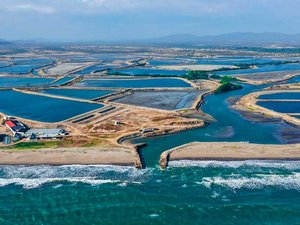 $45 million loan to improve shrimp sectors resilience in Ecuador