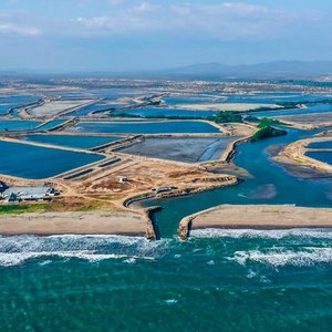 $45 million loan to improve shrimp sectors resilience in Ecuador