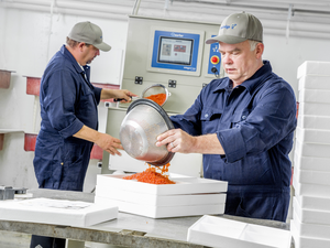 Troutlodge sales manager Jon Handley leaves to UK distributor