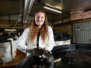 New Zealand to develop breeding program for yellowbelly flounder