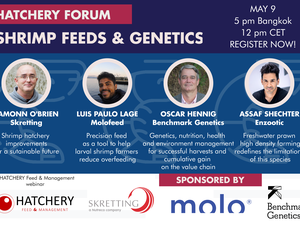 Shrimp feeds & genetics: Simplicity, precision feeding and a holistic approach