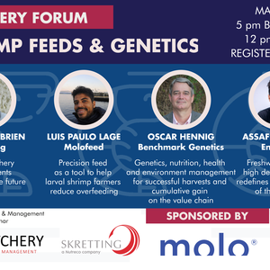 Shrimp feeds & genetics: Simplicity, precision feeding and a holistic approach