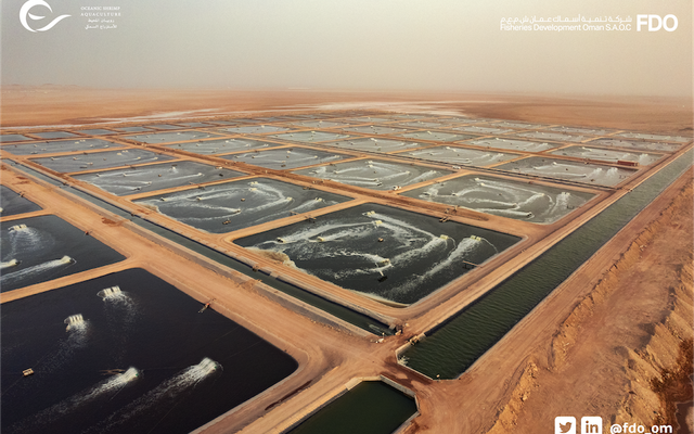 Blue Aqua signs deal to develop Omans aquaculture sector