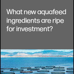 Join F3 webinar on aquafeed investors